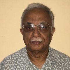 Vivek Shripad Borkar